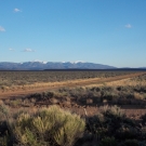 DSCN1358