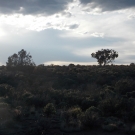 DSCN1366