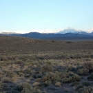 DSCN1373