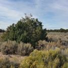 20151017_133350