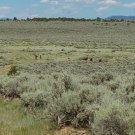 20150723_132915