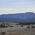 pic1