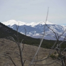 pic5