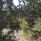 20180602_172759