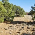 20180602_173055