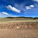 IMG_7687-r