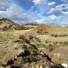IMG_7694-r