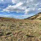 IMG_7701-r