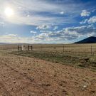 IMG_7722-r