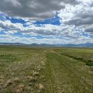 IMG_7517-r