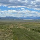 IMG_7518-r