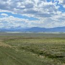 IMG_7519-r