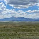 IMG_7526-r