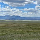 IMG_7531-r