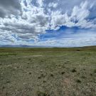 IMG_7533-r