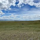 IMG_7548-r