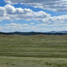 IMG_7552-r