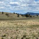 IMG_7420-r