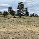 IMG_7426-r