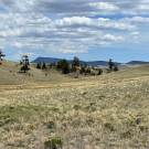 IMG_7434-r