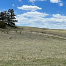 IMG_7444-r