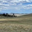 IMG_7446-r