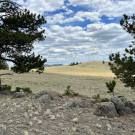 IMG_7452-r