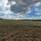 IMG_7652-r