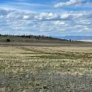 IMG_7658-r