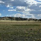 IMG_7661-r