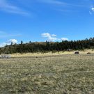 IMG_7664-r