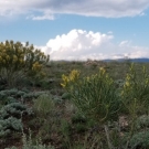 20180726_181957