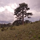 20150618_173452