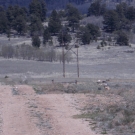 DSCN1402