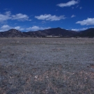DSCN1408