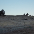 DSCN1698
