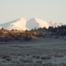 DSCN1703
