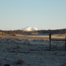 DSCN1710