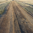 DSCN1735