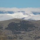 DSCN1740