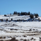 20201209_120658