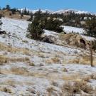 20201209_120939