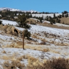 20201209_120952