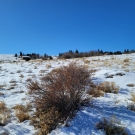 20201209_121622