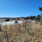 20201209_123948