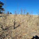 20201209_124006