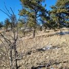 20201209_124009