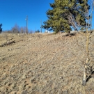 20201209_124127