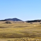750_9976-Copy