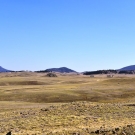 750_9980-Copy
